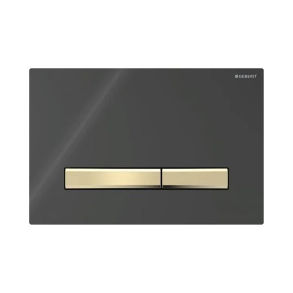 Geberit Kumanda Kapağı Sigma50 - Çift Basmalı - Siyah / Pirinç